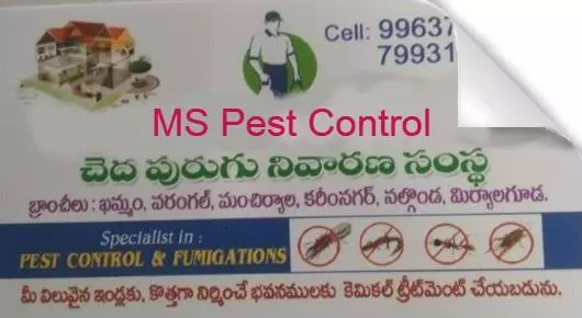 Pest Control Services in Khammam : MS Pest Control in Raparthi Nagar