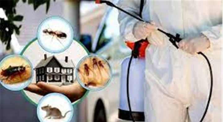 Pest Control Services in Kochi (Cochin) : Drishya Bhavan Pest Control in Edappally