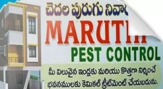 Pest Control Services in Kothagudem : Maruthi Pest Control in Main Road