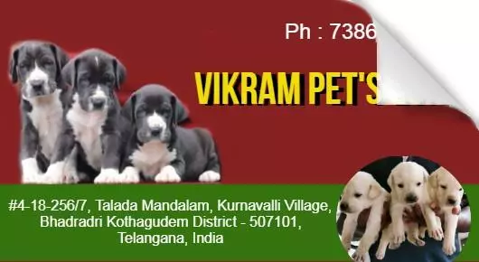 Pets And Pet Accessories in Kothagudem  : Vikram Pets Zone in Talada Mandalam