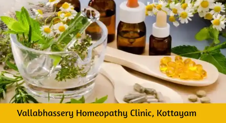 Vallabhassery Homeopathy Clinic in Shastri Road, Kottayam