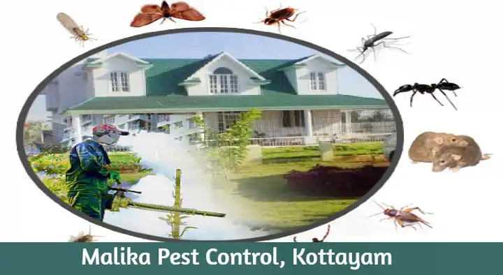 Pest Control Services in Kottayam : Malika Pest Control in Puthuppally Road