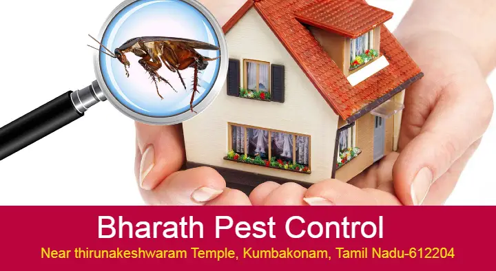 Pest Control Services in Kumbakonam  : Bharath Pest Control in Bus Stand