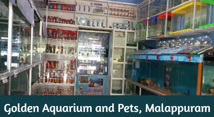 Pet Shops in Malappuram  : Golden Aquarium and Pets in Santhi Nagar