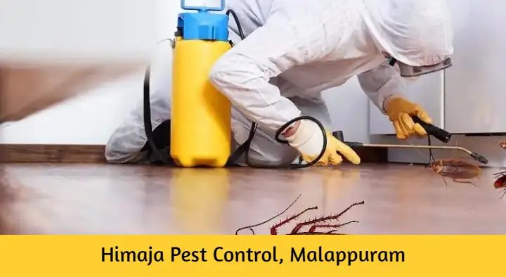 Pest Control Services in Malappuram  : Himaja Pest Control in Santhi Nagar