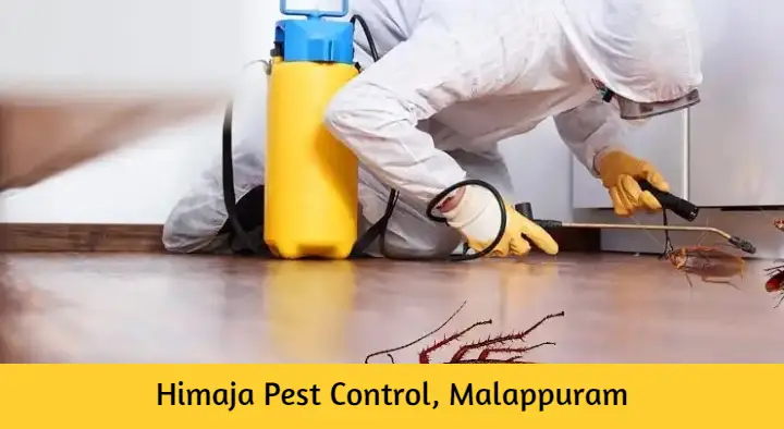 Himaja Pest Control in Santhi Nagar, Malappuram