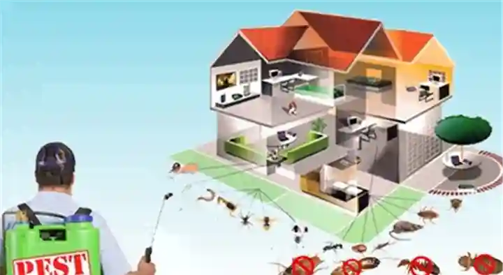 Dhanalaxmi Pest Control Services in Ashok Nagar, Miryalaguda