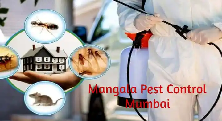 Pest Control Services in Mumbai : Mangala Pest Control in Tagore Nagar