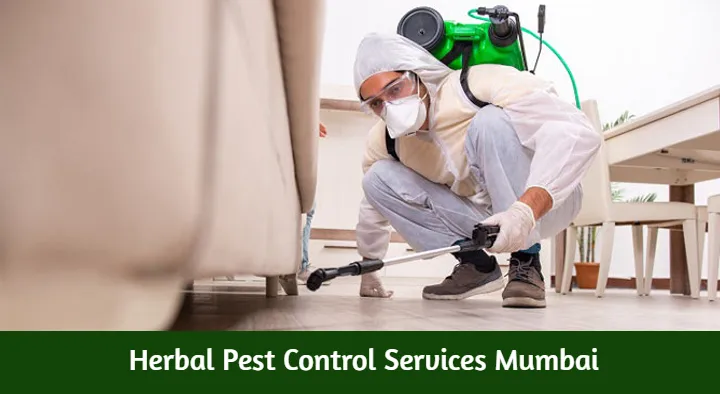 Pest Control Services in Mumbai  : Herbal Pest Control Services in Navi Mumbai