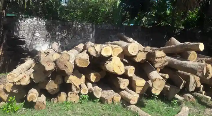 Sri Sapthagiri Timbers in Velippalayam, Nagapattinam