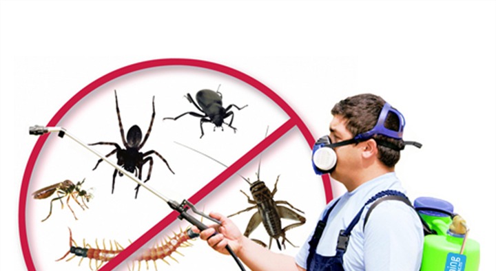 Lakshmi Pest Control Services in Ravindra Nagar, Nalgonda