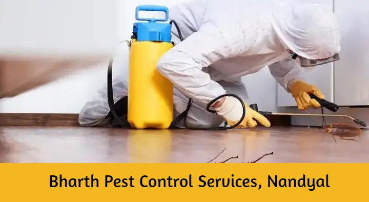 Pest Control Services in Nandyal  : Bharth Pest Control Services in Srinivasa Nagar