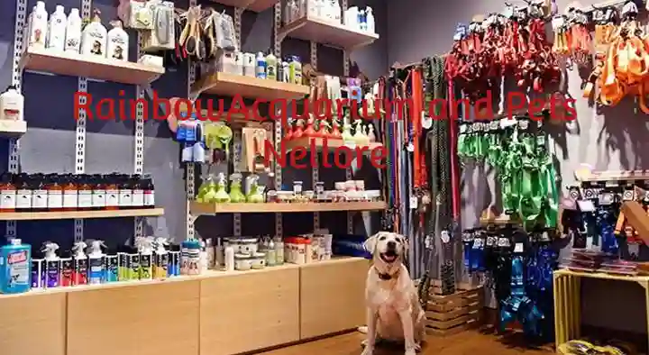 Rainbow Aquarium and Pets in Ram Nagar, Nellore