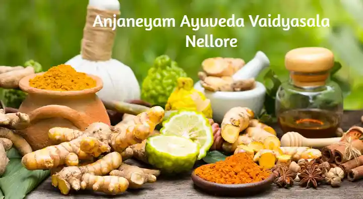 Ayurvedic Clinic in Nellore : Anjaneyam Ayurveda Vaidyasala in Bhakthavatsala Nagar