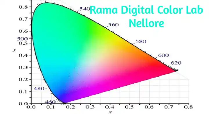 Color Labs in Nellore  : Rama Digital Colour Lab in Stonehouse Peta