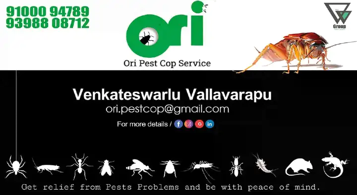 Pest Control Service For Bed Bugs in Nellore  : Ori Pest Cop Services in Padmavathi Nagar