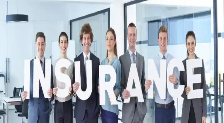Insurance Agents in Nellore  : United India Insurance Company in Vedayapalem