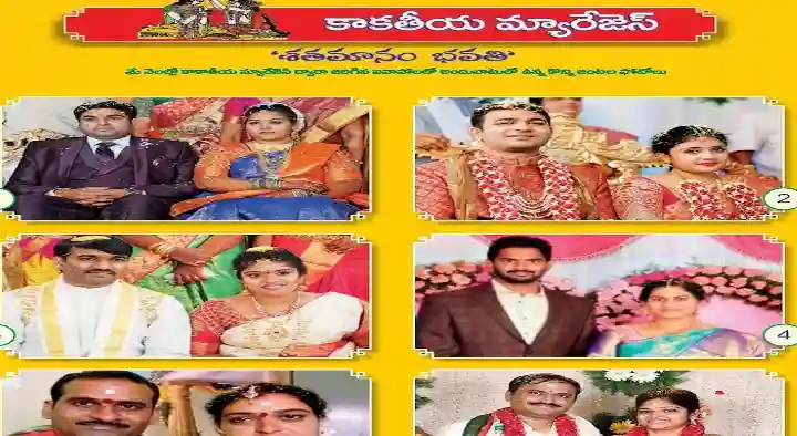 Marriage Consultant Services in Nellore  : Kaakateeya Marriages and Consultant in Dargamitta