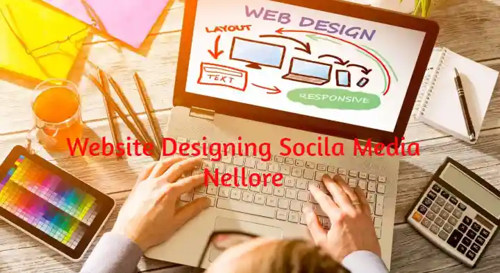 Website Designers And Developers in Nellore  : Website Designing  Social Media in Balaji Nagar