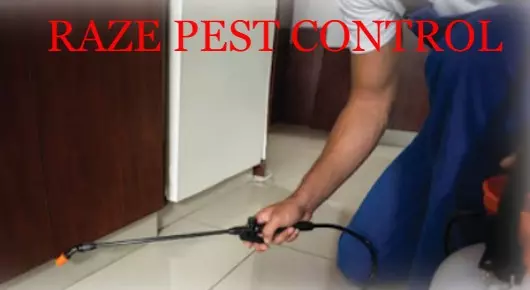 RAZE PEST CONTROL in Dargamitta, Nellore