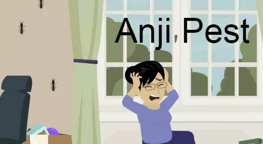 Anji Pest in Ramesh Reddy Nagar, Nellore