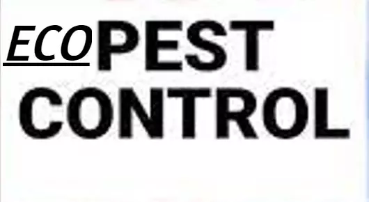 Pest Control Services in Neyveli : Eco Pest Controlc in Community Welfare Road
