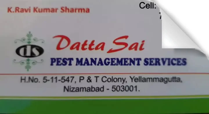 Pest Control Services in Nizamabad  : Datta Sai Pest Management Services in Yellammagutta