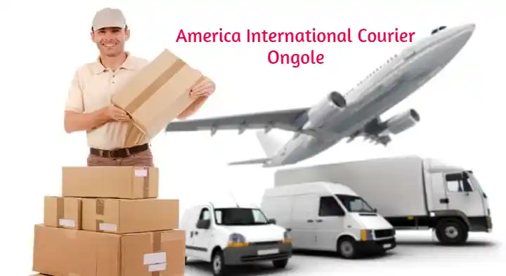Courier Service in Ongole  : America International Courier in VIP Road