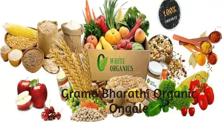 Organic Product Shops in Ongole  : Grama Bharathi Organic in Lawyer Peta