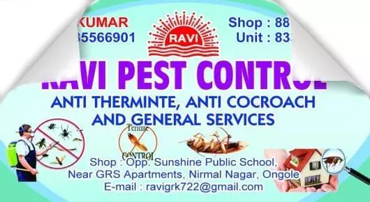 Pest Control Services in Ongole  : Ravi Pest Control in Nirmal Nagar
