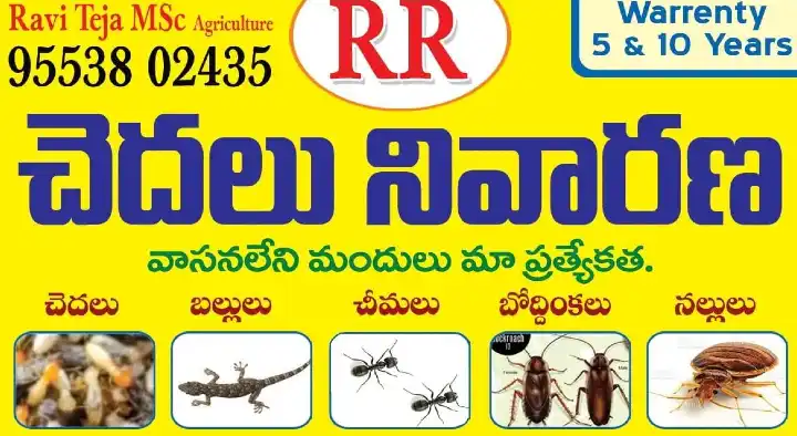 Pest Control Service For Ants in Ongole  : RR Pest Control and Sanitation in Kurnool Road