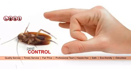 Pest Control Services in Ooty  : Sri Dev Pest Management Services in Bus Stand