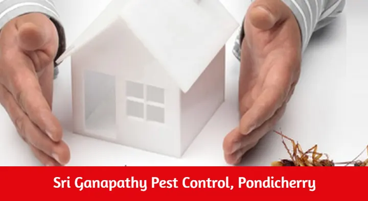 Pest Control Services in Pondicherry (Puducherry) : Sri Ganapathy Pest Control in Anna Nagar