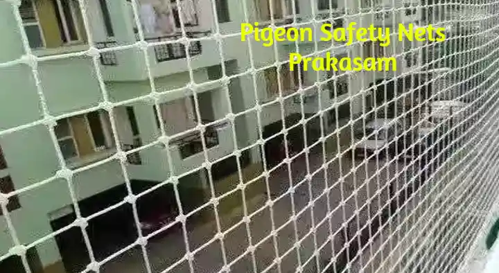 Fencing Products in Prakasam : Pigeon Safety Nets in Vadarevu Road
