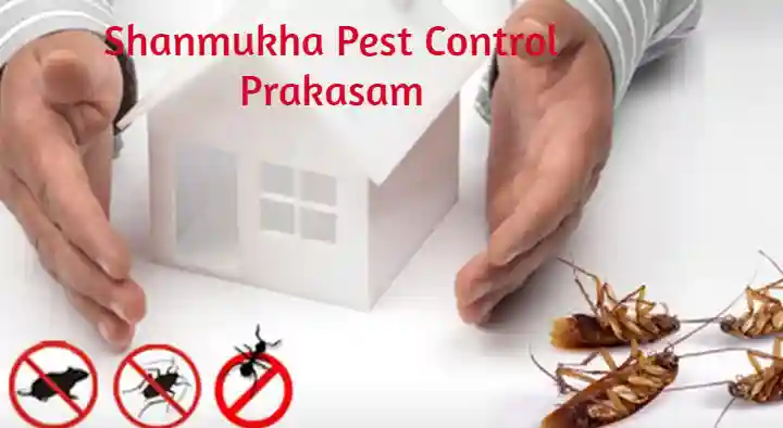 Shanmukha Pest Control in Mahalakshmi Nagar, Prakasam