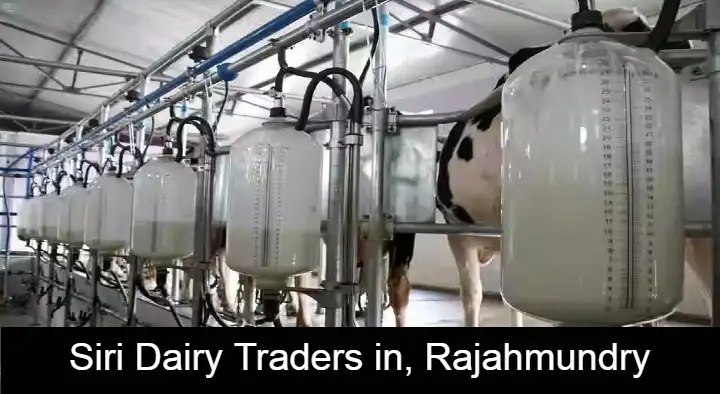 Dairy Equipment Dealers in Rajahmundry (Rajamahendravaram) : Siri Dairy Traders in Dasaravaripet