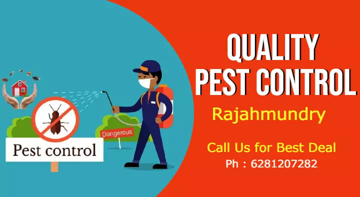 Quality Pest Control Service in Aryanapuram, Rajahmundry