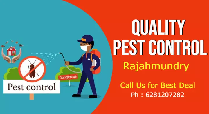 Quality Pest Control Service in Aryapuram, Rajahmundry