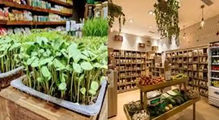 Organic Product Shops in Salem  : Greenosun Organics Product in Thangavel Nagar