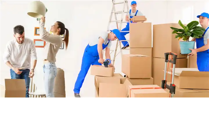 Packers And Movers in Salem  : Selvaganapathy Packers and Movers in Erumapalayam