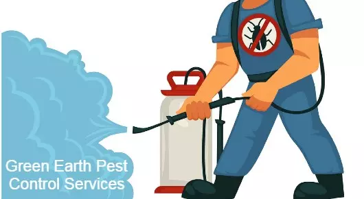Pest Control Services in Secunderabad  : Green Earth Pest Control Services in Old Alwal