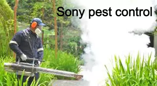 Pest Control Services in Secunderabad  : Sony pest control in Trimulgherry