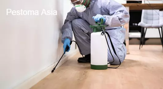 Pest Control Services in Secunderabad  : Pestoman Asia in West Marredpally
