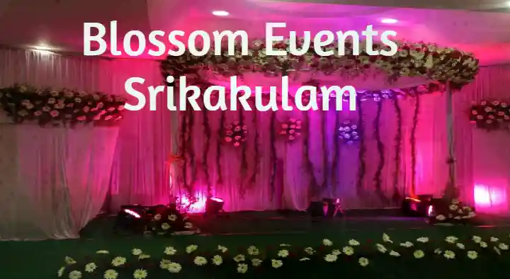 Event Organisers in Srikakulam  : Blossom Events in Palakonda Road