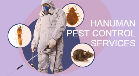 HANUMAN PEST CONTROL SERVICES in Gara veedhi junction, Srikakulam