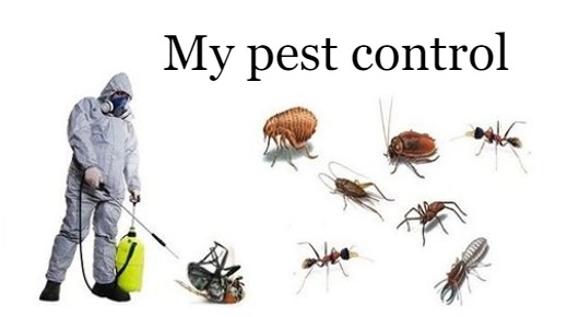 My Pest Control in Ranasthali New Colony, Srikakulam