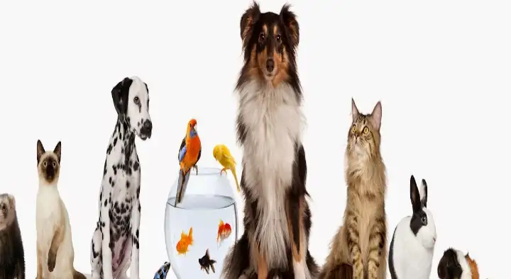 Pretty Pets and Aquarium Centre in Santhi Nagar, Thiruvananthapuram
