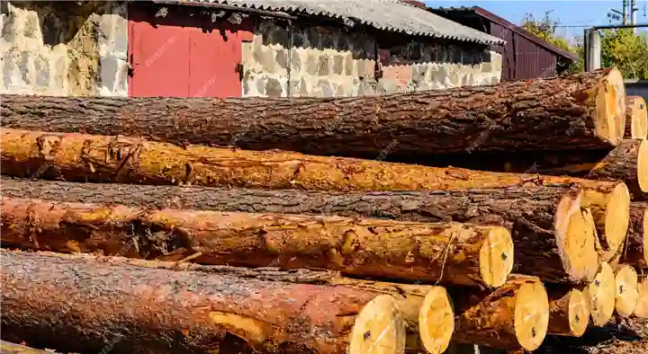 Vimala Timber Merchant in Santosh Nagar, Thrissur