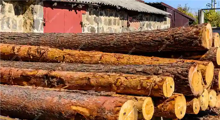 Timber Merchants in Thrissur  : Vimala Timber Merchant in Santosh Nagar
