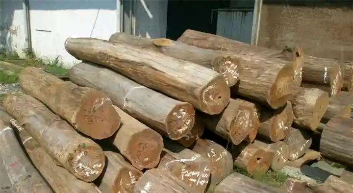 Timber Merchants in Tiruchirappalli (Trichy) : Sri Gokulam Timbers Traders in Anna Nagar